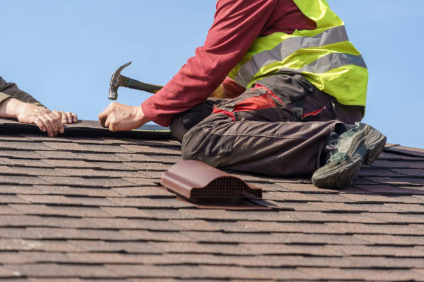 Best Roof Repair Services  in Trenton, FL