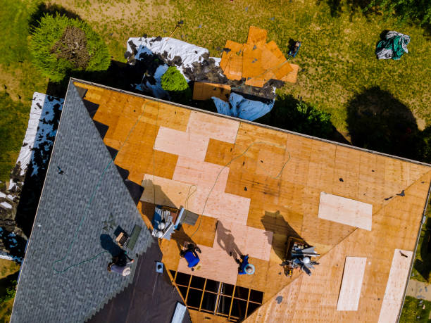 Quick and Trustworthy Emergency Roof Repair Services in Trenton, FL