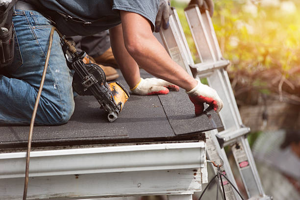 Best Roof Gutter Cleaning  in Trenton, FL